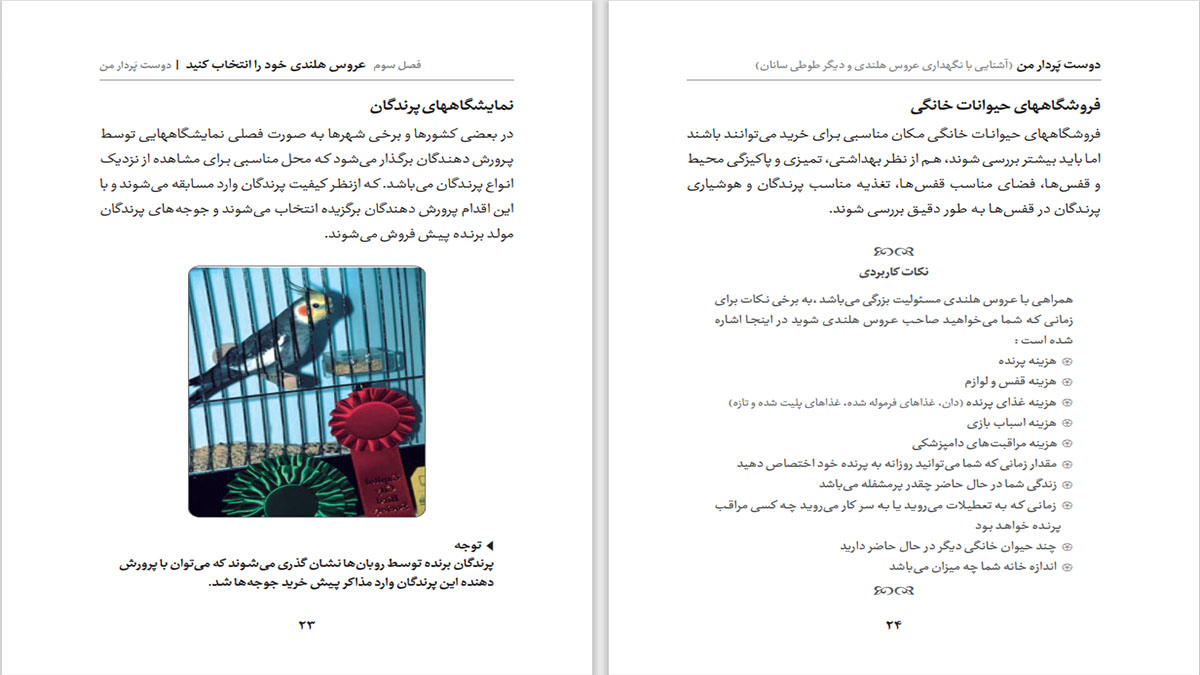 دوست پر دار من